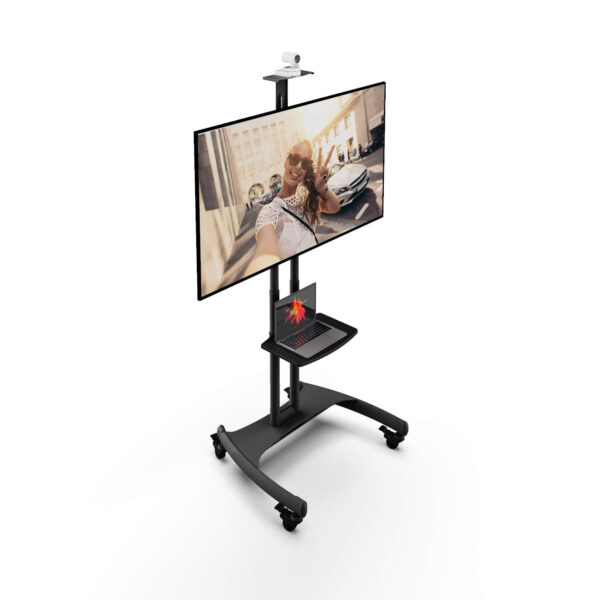 MTM65PL – Kanto Mounts